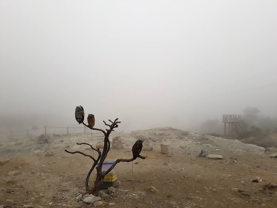 20604697_10210243247423134_9222274382327427337_n