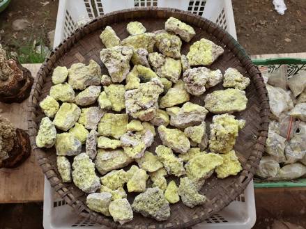 20638754_10210243247663140_5151999178301798585_n